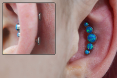 Anatometal-cluster-inner-conch
