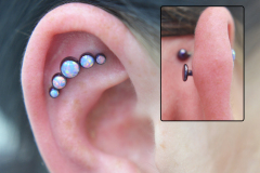 Anatometal-cluster-outer-conch