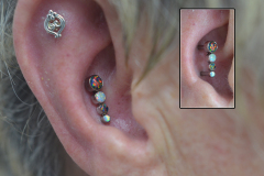 Black-and-white-opal-conch-cluster