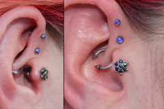 Double-Felix-and-Flower-Tragus