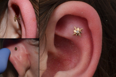 14kt-Gold-Outer-Conch