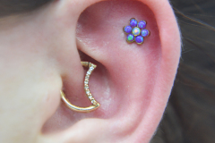 Anatometal-flower-conch-and-daith