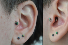 Paw-print-Tragus