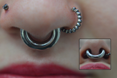 4g-Septum-segment