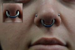 6g-Septum-Segment