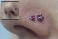 Dual-Neometal-Nostrils-Purple-CZ