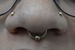 Dual-nostrils-and-CBR-septum