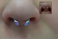14g-Septum-with-Bullet-Cabs