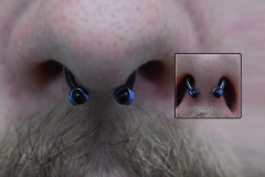 Septum-with-Black-Niobium-CBB-and-Black-Onyx-Beads