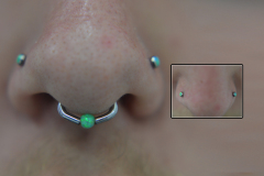 14g-Niobium-Hexagon-Septum