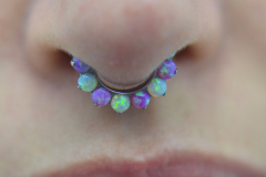 14g-Septum-Cluster