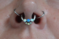 Anatometal-12g-FFCBB-Septum-with-cluster