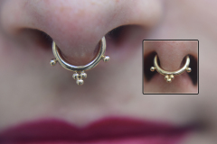 Scylla-14kt-Gold-Septum