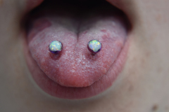 12g-Venoms-with-5mm-Opal-Cabochons-healed