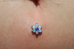 Anatometal-flower-tummy