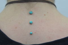 Triple-Nape-turquoise