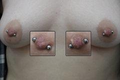 Healed-12g-nipples-plain