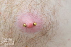 Gold-Male-Nipple-Small