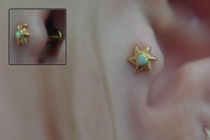 18kt-Anatometal-Sun-Tragus