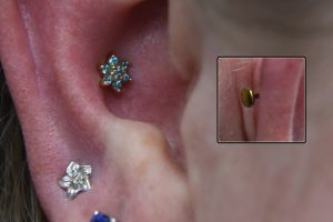 Flower-Conch-Fresh