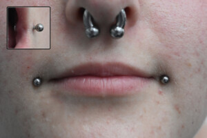 Healed Dahlias with Balls